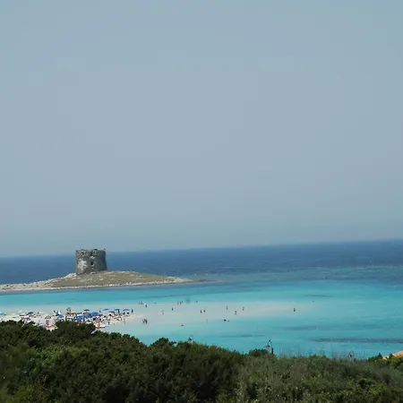 Punta De Su Turrione Sleeps 8 Pool Wifi * Stintino